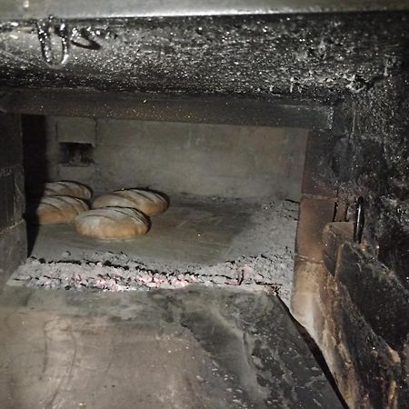 צ'רקנו Guest House Gostisce Gacnk V Logu מראה חיצוני תמונה